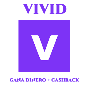 Vivid Money App